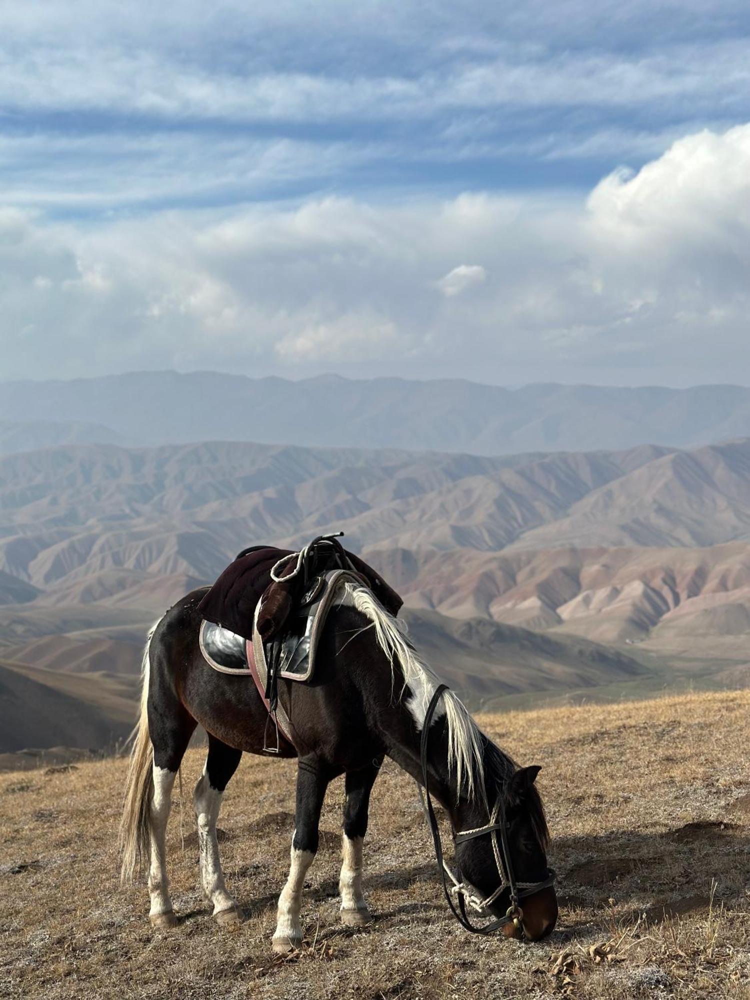 Yurt Camp Azamat At Song Kol Lake Bagysh Экстерьер фото