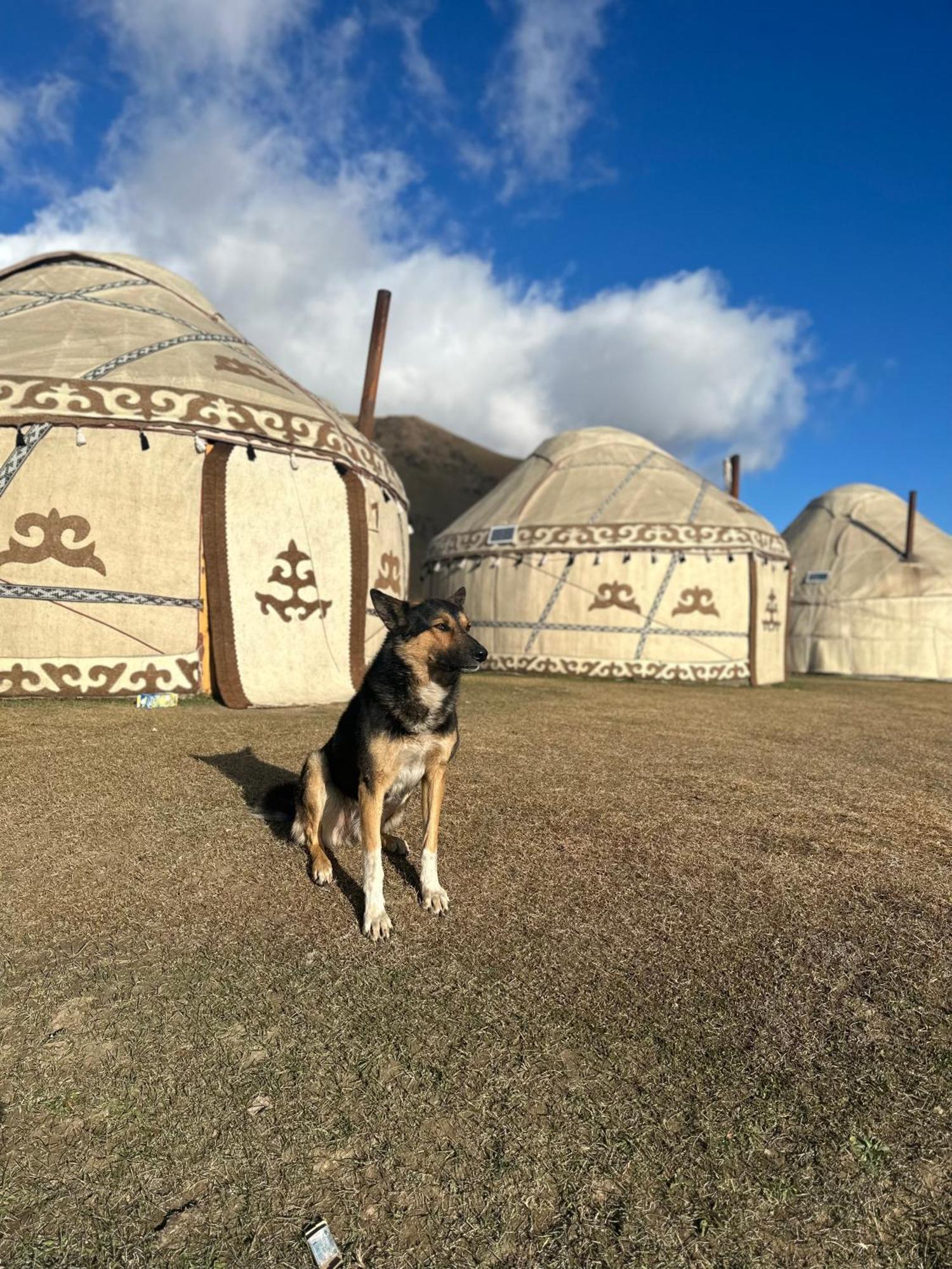 Yurt Camp Azamat At Song Kol Lake Bagysh Экстерьер фото