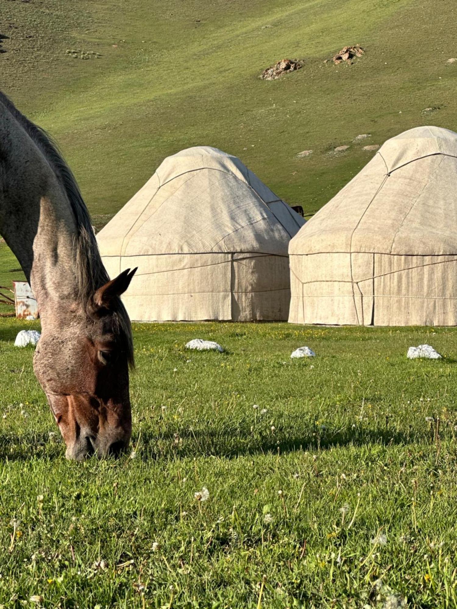 Yurt Camp Azamat At Song Kol Lake Bagysh Экстерьер фото