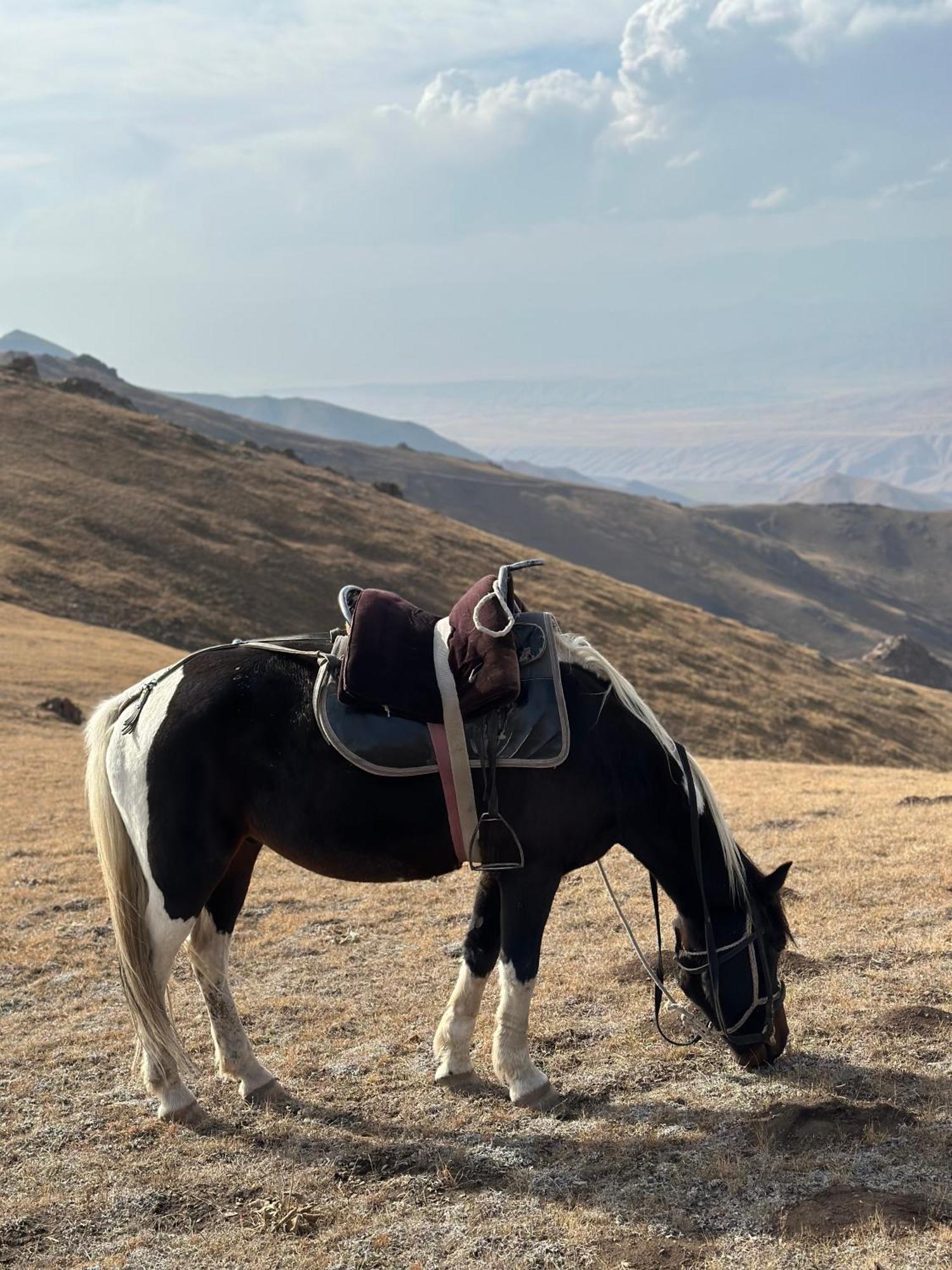 Yurt Camp Azamat At Song Kol Lake Bagysh Экстерьер фото